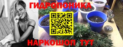 гашиш Заводоуковск