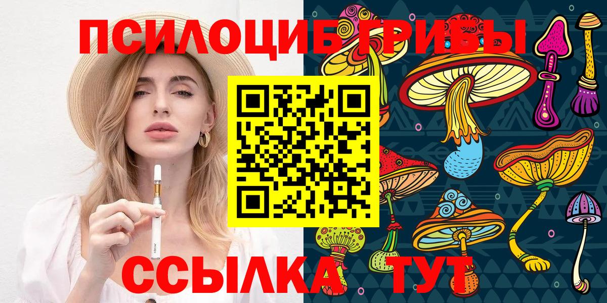 Псилоцибиновые грибы Cubensis  Вход с VPN  Обнинск 